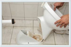 Clogged Toilet  Speedway Plumbing Texas